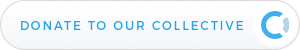 Donate to Project Elara link