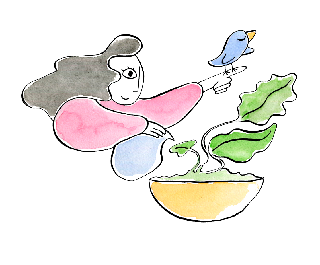 How Open Collective works